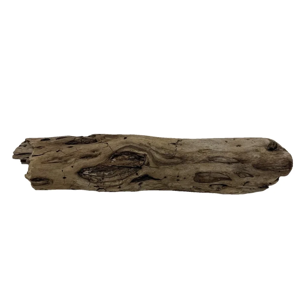 California Coast Driftwood Log – Sculpted Erosion Cavities 14” Natural